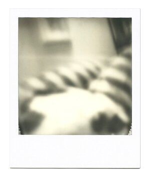 Valentine’s Day (Distortion)